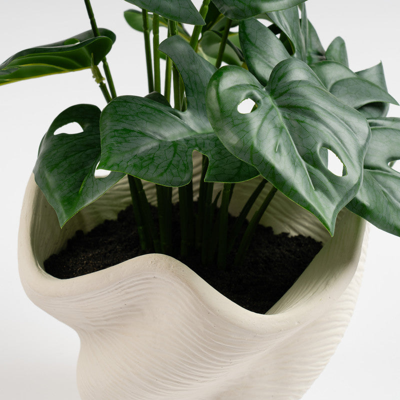 45cm Artificial Variegated Monstera in Cement Shell Pot
